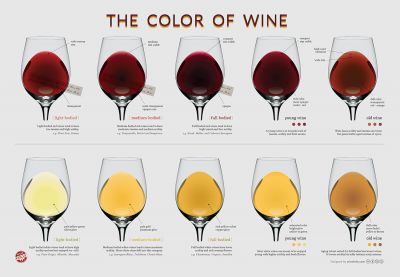 Цветовые оттенки вин