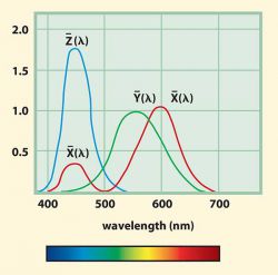 Спектральная чувствительность, соответствующая человеческому глазу (функции согласования цветов стандартного наблюдателя 1931 года).