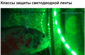 ������ ������ ������������ �����